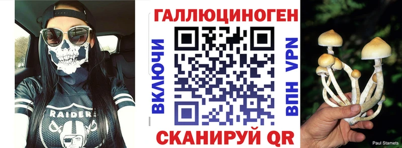 Псилоцибиновые грибы Cubensis  как найти наркотики  MEGA tor  Кимовск 