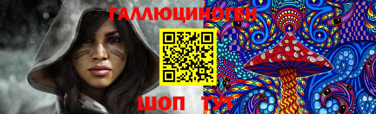 Галлюциногенные грибы Psilocybine cubensis Кимовск