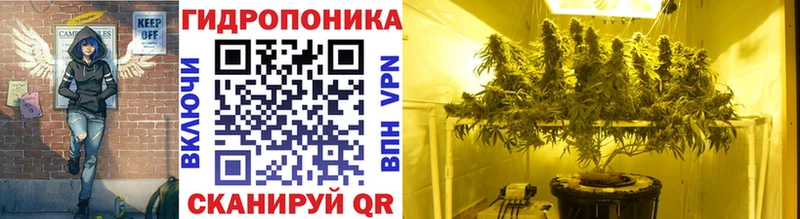 наркотики  Кимовск  Бошки марихуана ГИДРОПОН 
