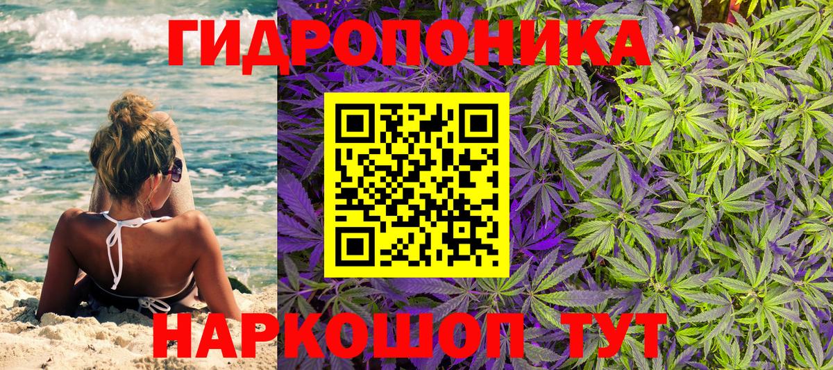 Конопля конопля  Каннабис конопля  Вход с VPN  Кимовск  Шишки марихуана конопля 