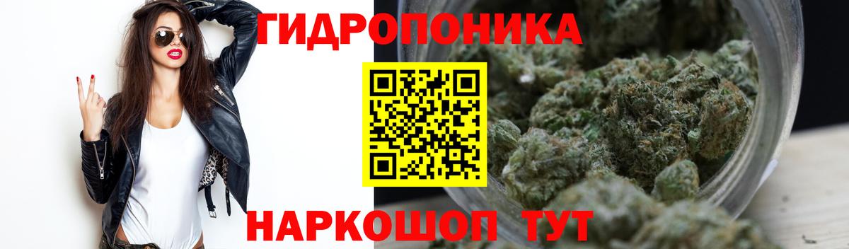 Шишки марихуана OG Kush Кимовск